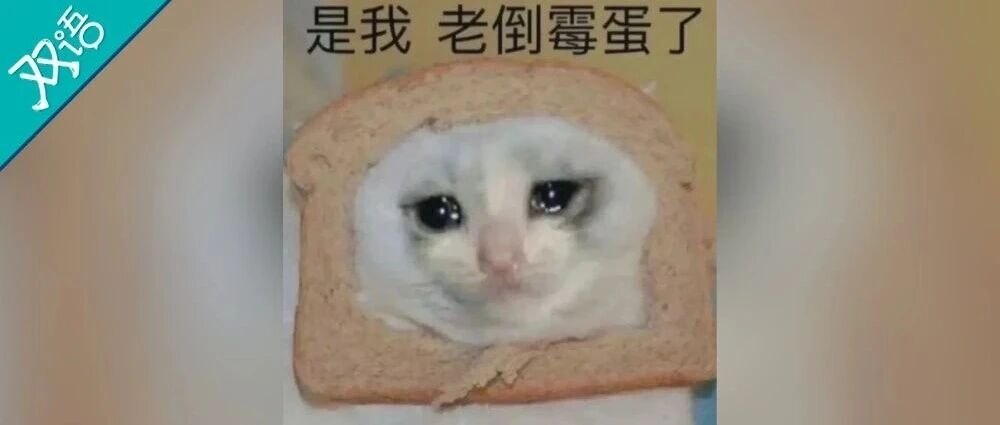 “鸡蛋买回家不能水洗存储”一盘炒蛋让一家三口集体中毒,专家提醒